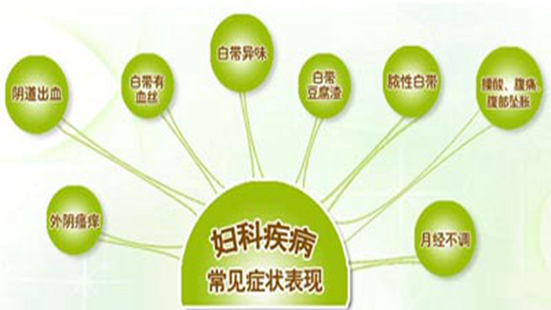 沧州综合医院：城市健康守护者