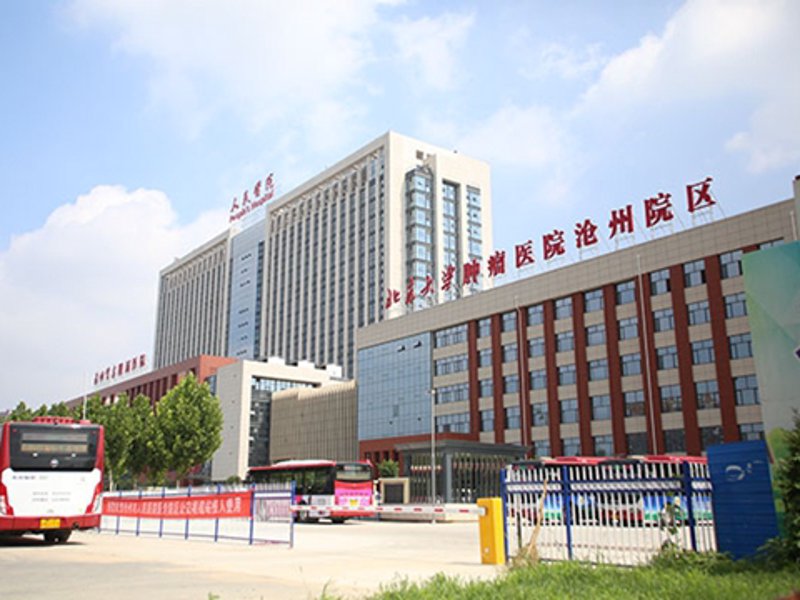 沧州综合医院:医疗服务的新标杆